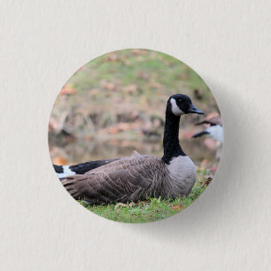 Goose      trucker hat button