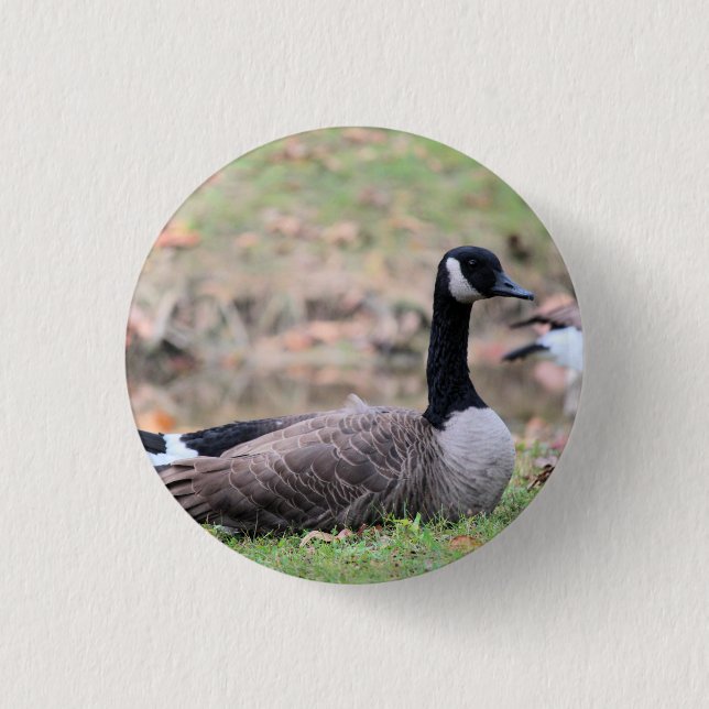 Goose      trucker hat button (Front)
