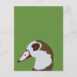 Goose Waterfowl Bird 