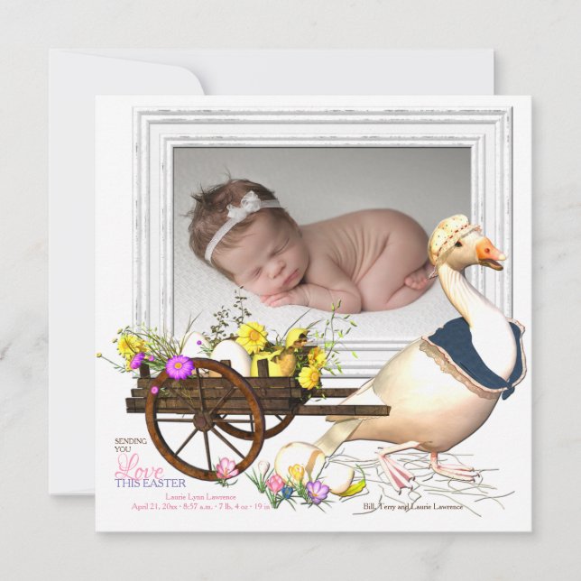 Goose with Eggs Photo Birth Announcement (Front)