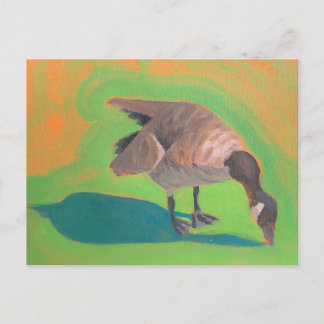 Goose with green and orange Postcard