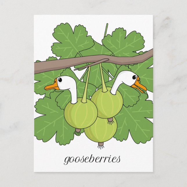 Gooseberries Postcard (Front)