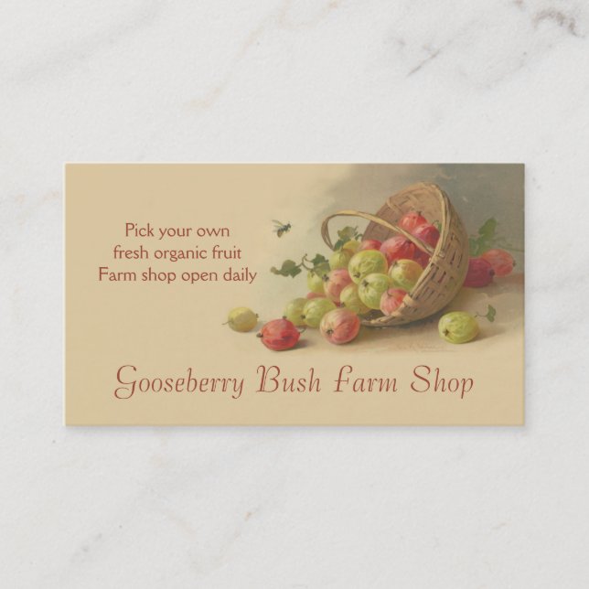 Gooseberries strawberries fruit sales business card (Front)