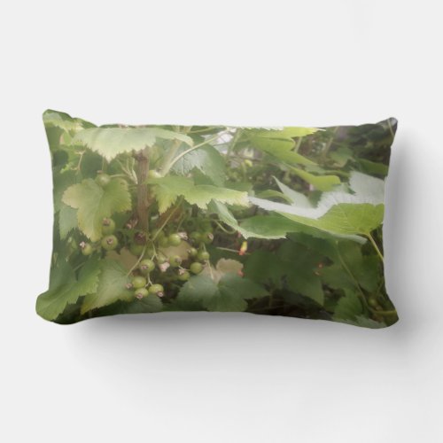 Gooseberry cushion comfort