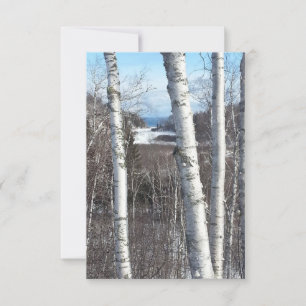 Gooseberry Falls area - North Shore Minnesota Thank You Card