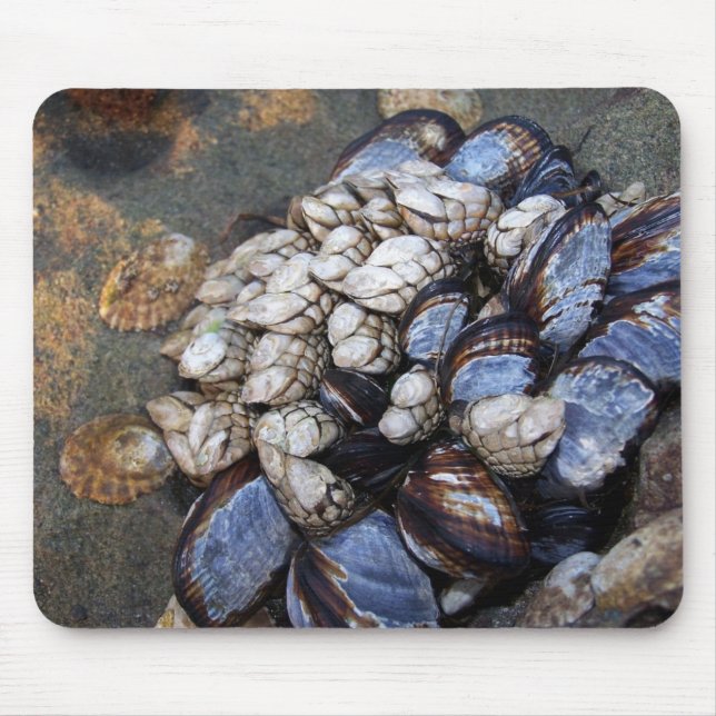 Goosenecks and Mussels Mouse Pad (Front)