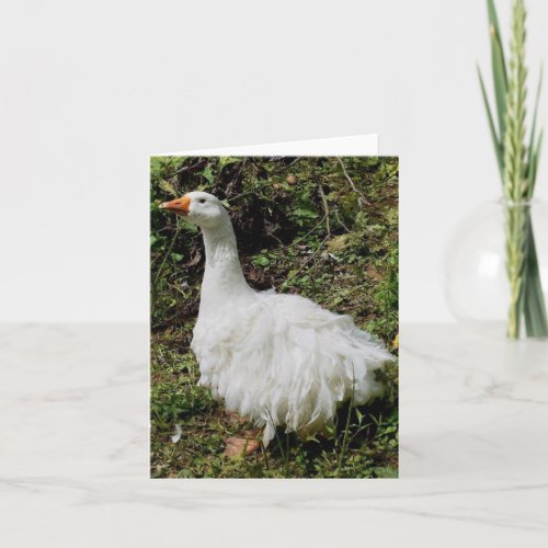 Goosey Greeting Card