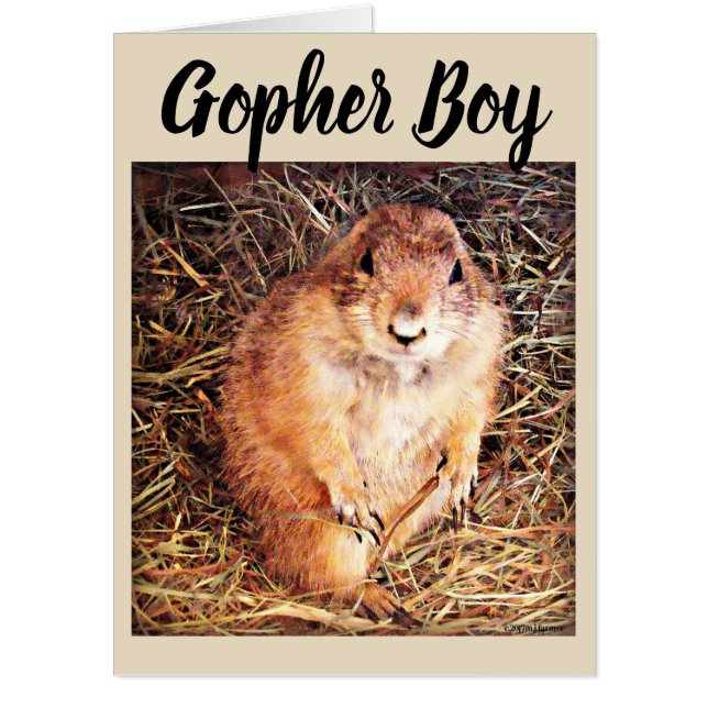 Gopher Boy Valentine Card (Front)