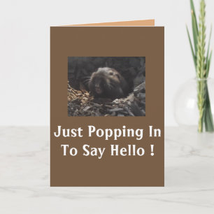 Gopher Greeting (Card) Card