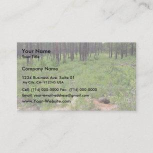 Gopher tortoise burrow and habitat (Gopherus polyp Business Card