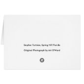 Gopher Tortoise in the Grass Cards (Back Horizontal)