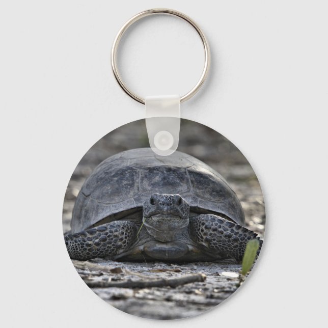 Gopher Tortoise Photo Keychain (Front)