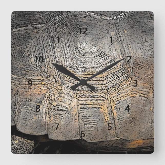 Gopher Tortoise Shell Design Square Wall Clock (Front)