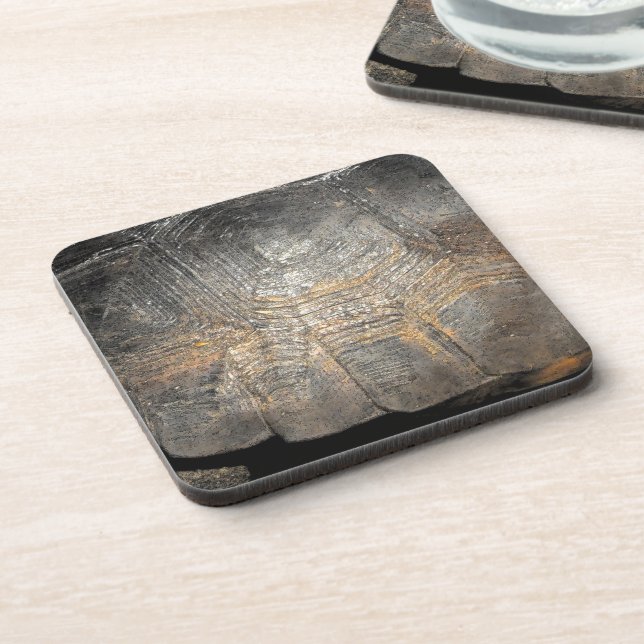 Gopher Tortoise Shell Drink Coaster (Left Side)