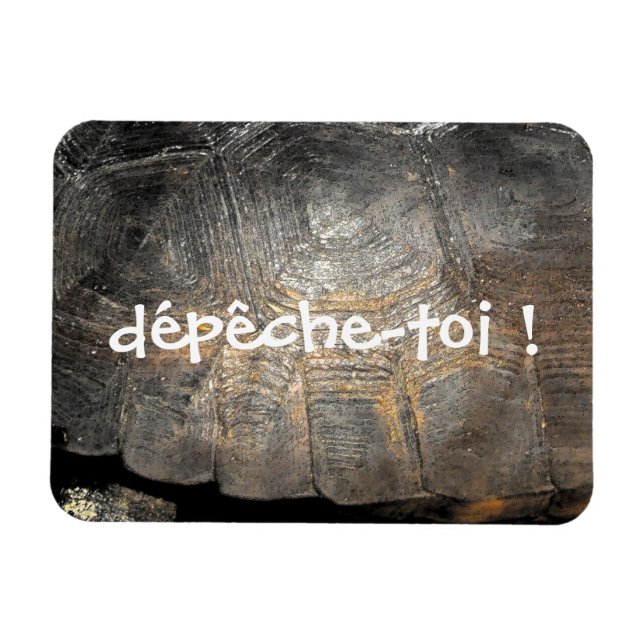 Gopher Tortoise Shell Magnet (Horizontal)