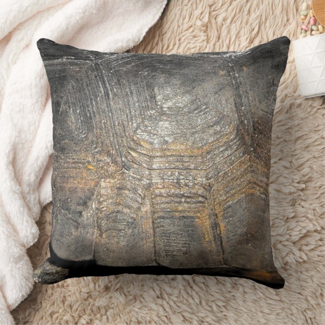 Gopher Tortoise Shell Throw Pillow (Blanket)