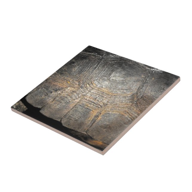 Gopher Tortoise Shell Tile (Side)