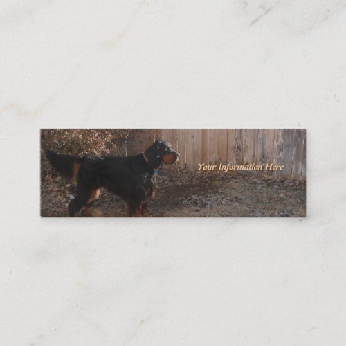 Gordon Setter Bookmark Business Cards
