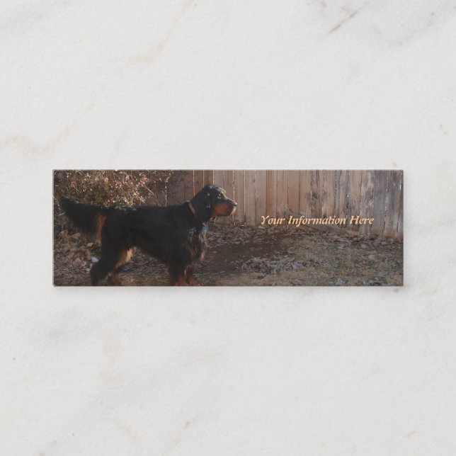 Gordon Setter Bookmark Business Cards (Front)
