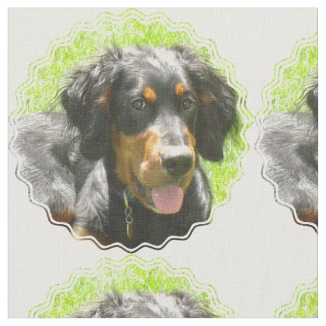 Gordon Setter Dog Fabric (Close Up)