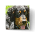 Gordon Setter Dog Pin
