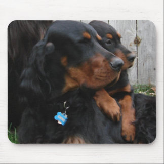 Gordon Setter Generations Mousepad