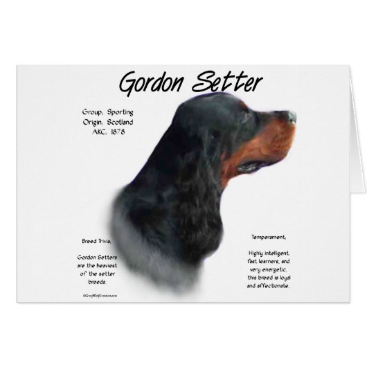 Gordon Setter History Design Cards (Front Horizontal)