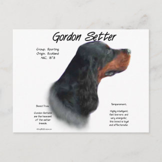 Gordon Setter History Design Postcard