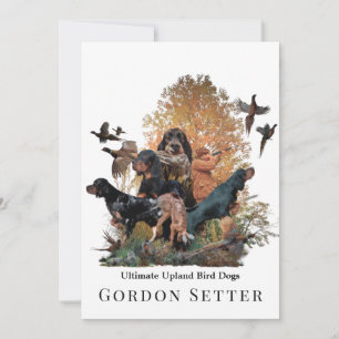 Gordon Setter,hunting season Invitation
