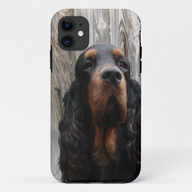 Gordon Setter iPhone 5 Case (Back)