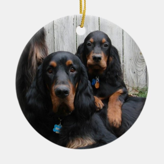 Gordon Setter Pals Photo Ornament (Front)