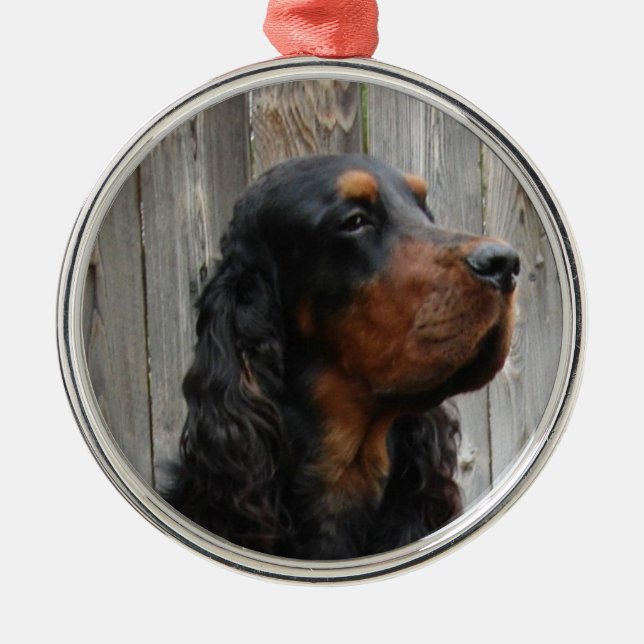 Gordon Setter Photo Ornament (Front)