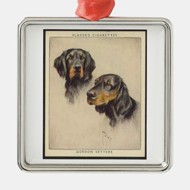 Gordon Setter Player Cigarette Card Ornament (Front)