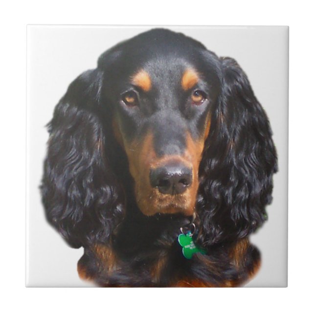 Gordon Setter Portrait Ceramic Tile (Front)