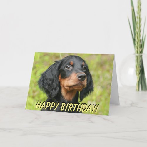 Gordon Setter puppy birthday card