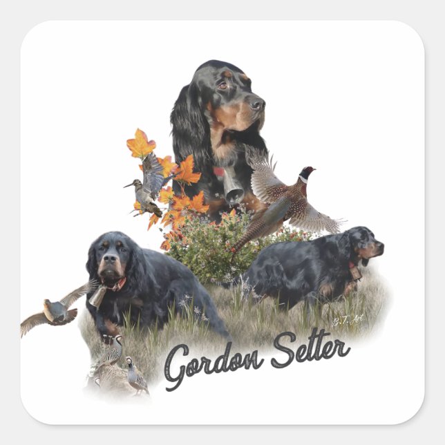 Gordon Setter  Square Sticker (Front)