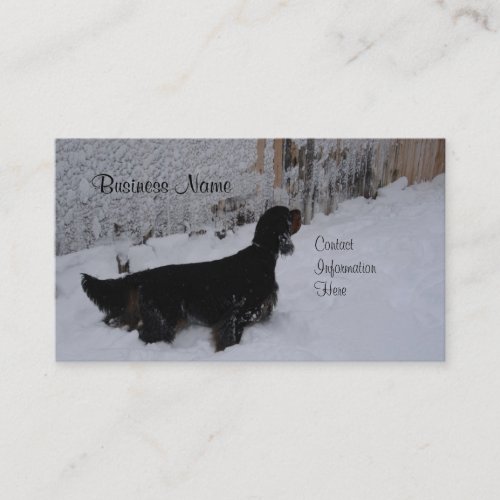 Gordon Setter Winter Business Cards