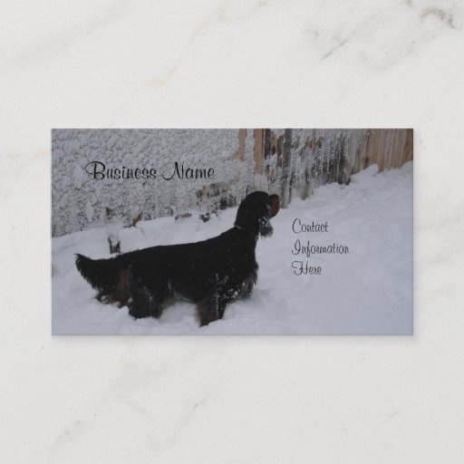 Customizable Gordon Setter Winter Business Cards