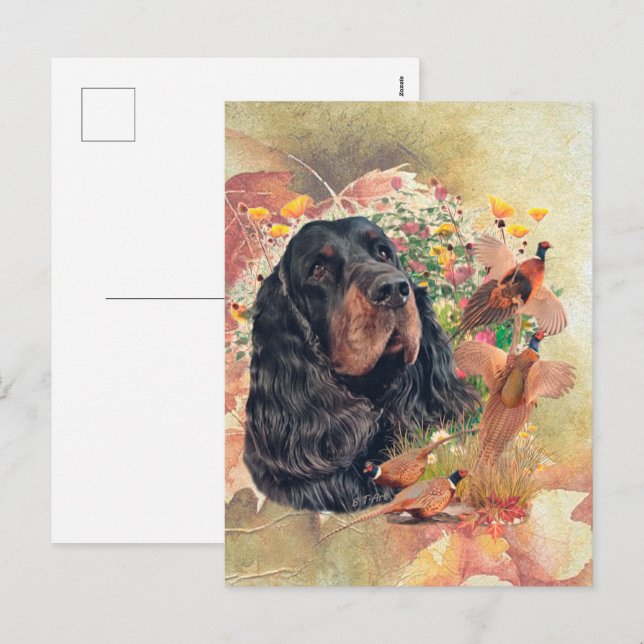 Gordon setter with pheasants, Art    Holiday Postcard (Front/Back)