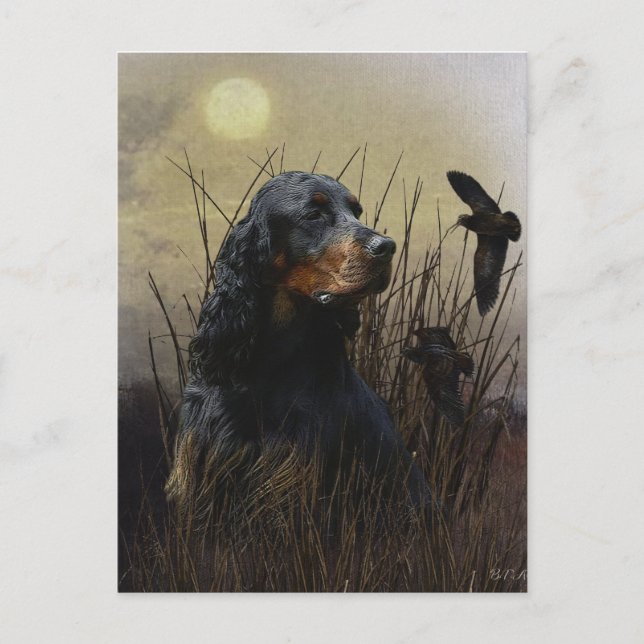 Gordon setter with pheasants, Art    Holiday Postcard (Front)