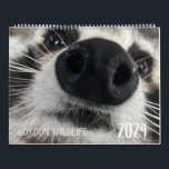 Gordon Wildlife Raccoon Calendar 2024<br><div class="desc">This is the new Calendar for 2024 featuring raccoons from the Charles N. Gordon Wildlife Rehabilitation Center.  We are a 501(c)3 specializing in treating,  rescuing and releasing orphaned and injured raccoons.  www.gordonwildlife.org</div>