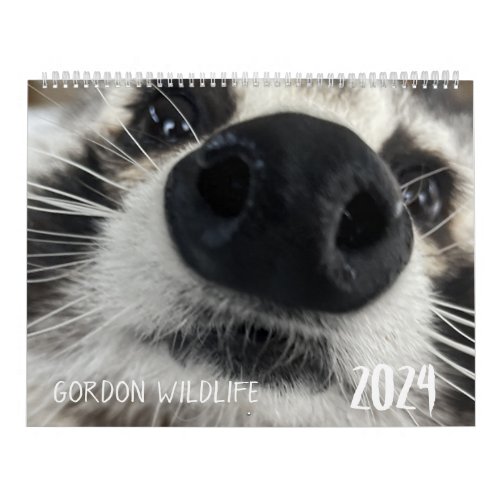 Gordon Wildlife Raccoon Calendar 2024