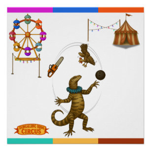 Gordy, goanna juggler poster