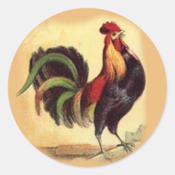 Gorgeoud Rooster Stickers by Vintage_Obsession at Zazzle