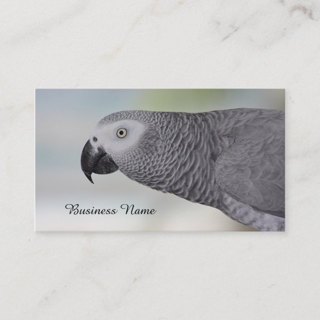 Gorgeous African Grey Parrot Business Card (Front)