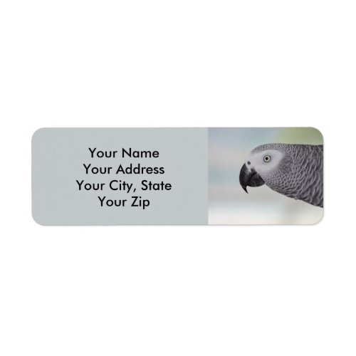 Gorgeous African Grey Parrot Label