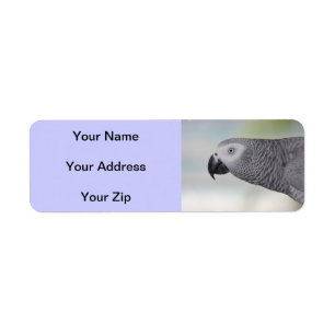 Gorgeous African Grey Parrot Label