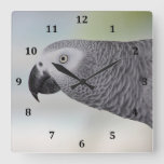 Gorgeous African Grey Parrot Square Wall Clock at Zazzle