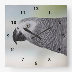 Gorgeous African Grey Parrot Square Wall Clock