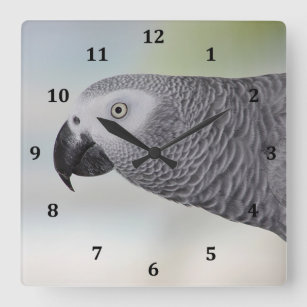 Gorgeous African Grey Parrot Square Wall Clock